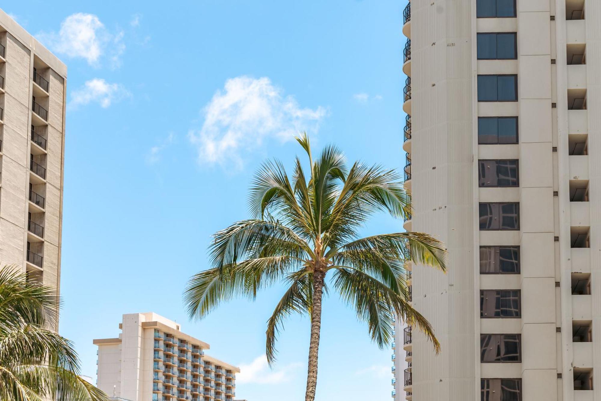 Appartement Waikiki Banyan Oasis With Partial Ocean View, 1-block To Beach, Free Parking