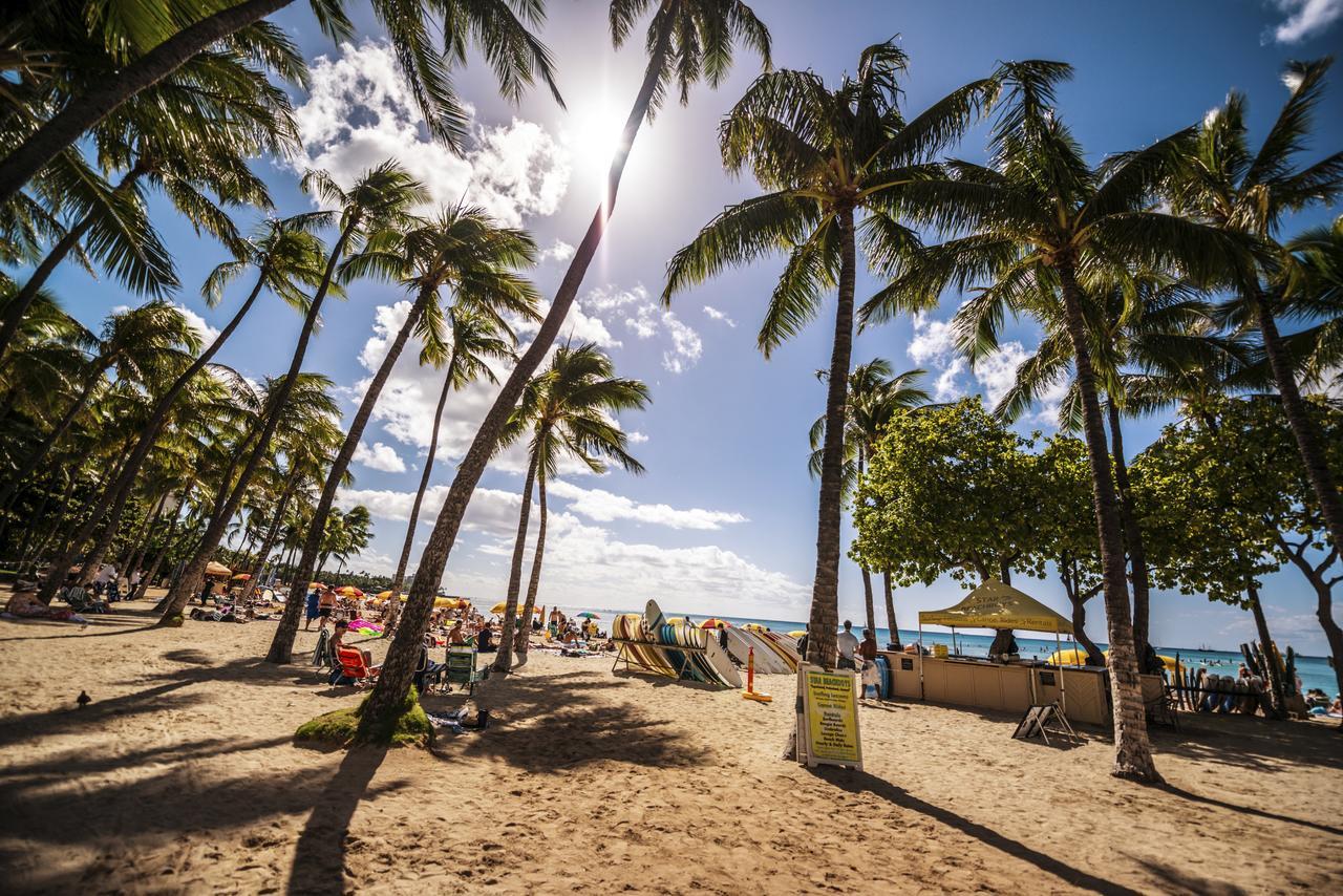 Waikiki Banyan Oasis With Partial Ocean View, 1-block To Beach, Free Parking